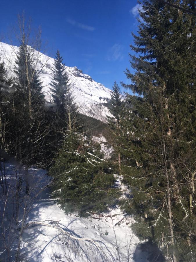 Les Pierres Blanches Mont Blanc Lejlighed Les Contamines-Montjoie Eksteriør billede