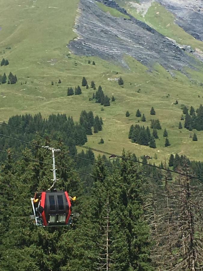 Les Pierres Blanches Mont Blanc Lejlighed Les Contamines-Montjoie Eksteriør billede